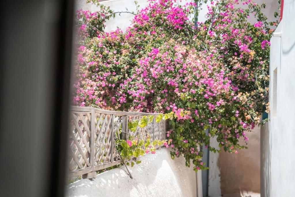 Holiday home Akri Santorini With Heated Jacuzzi Emporio (Santorini)